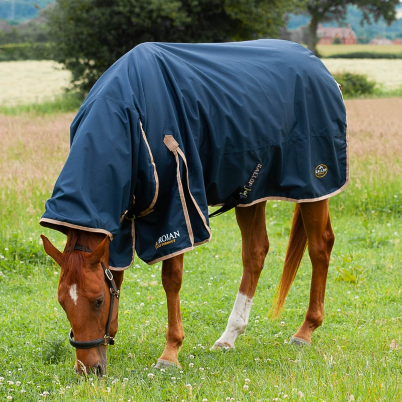 Gallop Trojan Combo 100gm Turnout Rug in Navy/Beige-2